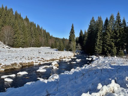 FOTKA - Prom�ny �umavy � mezi Modravou a Filipovou Hut�