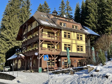 FOTKA - Prom�ny �umavy � mezi Modravou a Filipovou Hut�