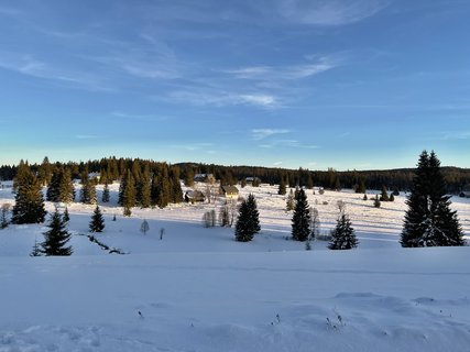 FOTKA - Prom�ny �umavy � mezi Modravou a Filipovou Hut�