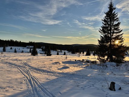 FOTKA - Prom�ny �umavy � mezi Modravou a Filipovou Hut�