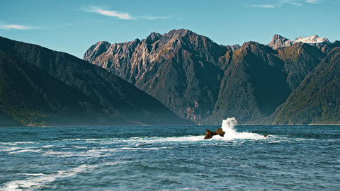 FOTKA - Unik�tn� dokumenty na Prima ZOOM pro 6. t�den