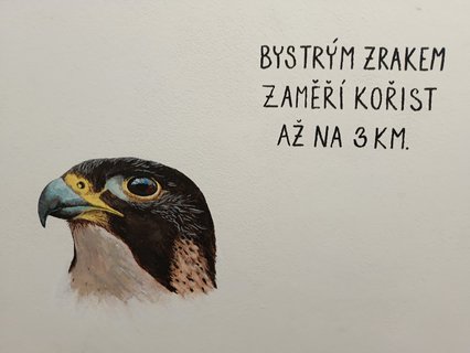 FOTKA - D�m p��rody �esk�ho r�je