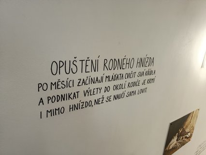 FOTKA - D�m p��rody �esk�ho r�je