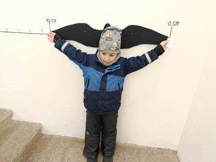 FOTKA - D�m p��rody �esk�ho r�je