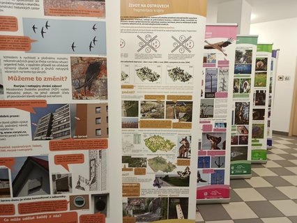 FOTKA - D�m p��rody �esk�ho r�je