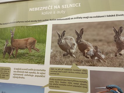 FOTKA - D�m p��rody �esk�ho r�je