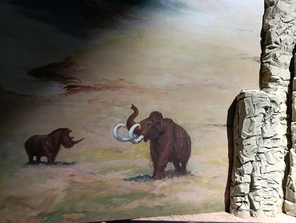 FOTKA - D�m p��rody �esk�ho r�je