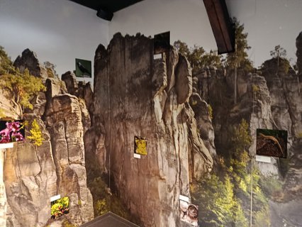 FOTKA - D�m p��rody �esk�ho r�je