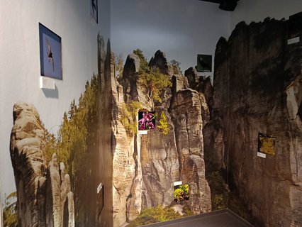 FOTKA - D�m p��rody �esk�ho r�je