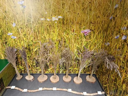 FOTKA - D�m p��rody �esk�ho r�je