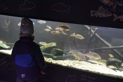 FOTKA - D�m p��rody �esk�ho r�je