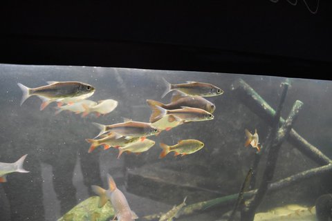 FOTKA - D�m p��rody �esk�ho r�je