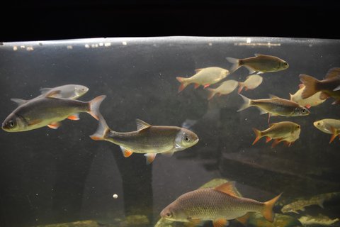 FOTKA - D�m p��rody �esk�ho r�je