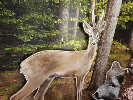 FOTKA - D�m p��rody �esk�ho r�je