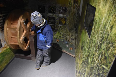 FOTKA - D�m p��rody �esk�ho r�je