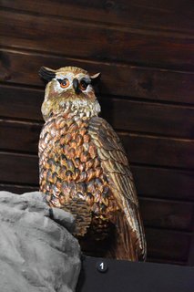 FOTKA - D�m p��rody �esk�ho r�je