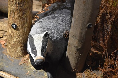 FOTKA - D�m p��rody �esk�ho r�je