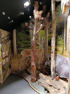 FOTKA - D�m p��rody �esk�ho r�je