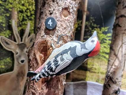 FOTKA - D�m p��rody �esk�ho r�je