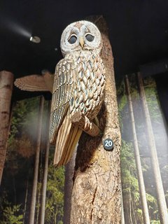 FOTKA - D�m p��rody �esk�ho r�je