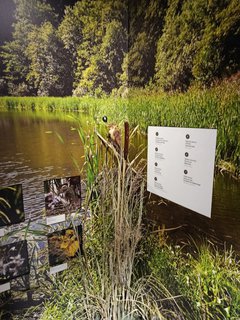 FOTKA - D�m p��rody �esk�ho r�je