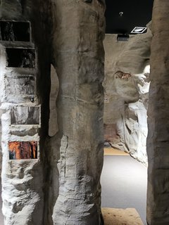 FOTKA - D�m p��rody �esk�ho r�je