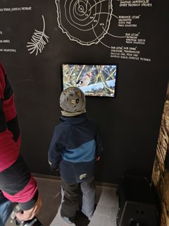 FOTKA - D�m p��rody �esk�ho r�je