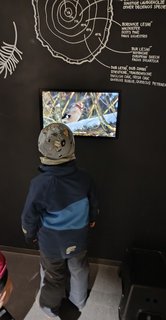 FOTKA - D�m p��rody �esk�ho r�je