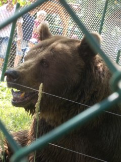 FOTKA - Beroun � m�sto medv�d� a rozhleden