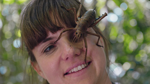 FOTKA - Z�zraky Nov�ho Z�landu na Prima ZOOM