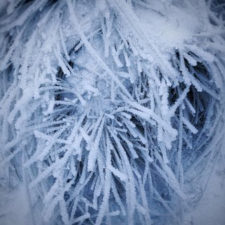 FOTKA - V�let na Prad�d