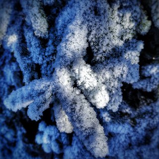 FOTKA - V�let na Prad�d