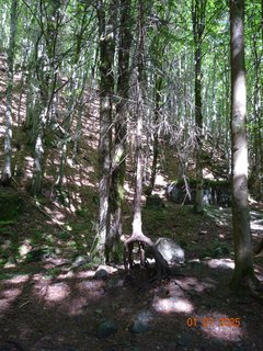 FOTKA - Vodop�dy na horn�m toku Labe