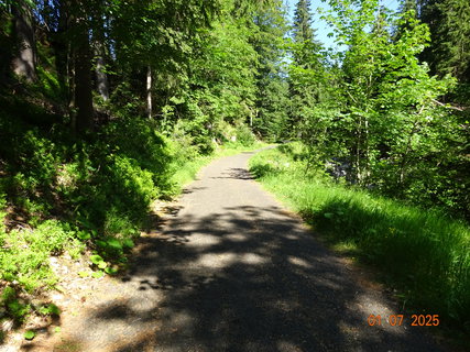 FOTKA - Vodop�dy na horn�m toku Labe