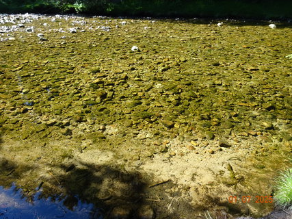 FOTKA - Vodop�dy na horn�m toku Labe