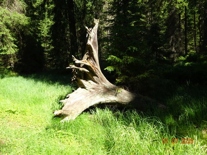 FOTKA - Vodop�dy na horn�m toku Labe