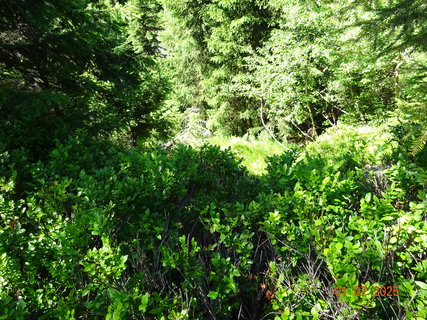 FOTKA - Vodop�dy na horn�m toku Labe