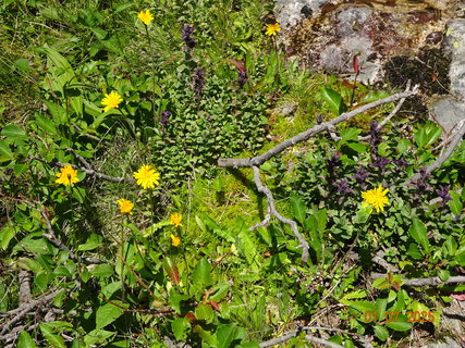 FOTKA - Vodop�dy na horn�m toku Labe