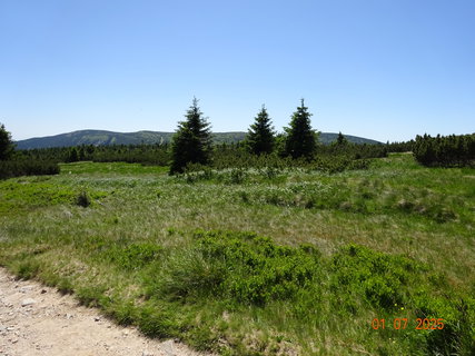 FOTKA - Vodop�dy na horn�m toku Labe