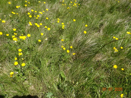 FOTKA - Vodop�dy na horn�m toku Labe