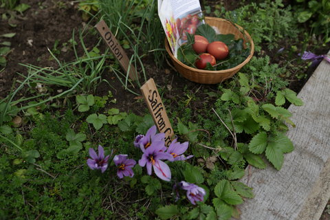 FOTKA - Unik�tn� dokumenty na Prima ZOOM pro 9. t�den