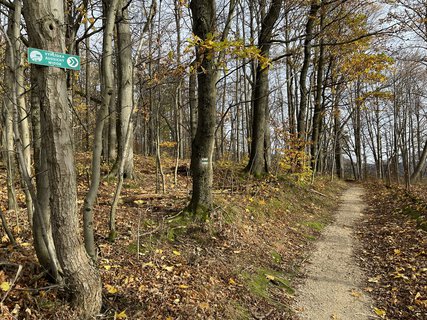 FOTKA - V kopc�ch nad Libverdou