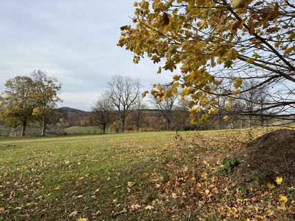 FOTKA - V kopc�ch nad Libverdou