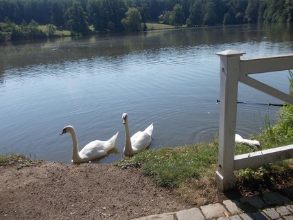 FOTKA - Z�mek Kozel