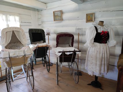 FOTKA - L�to s v�n� pern��k�