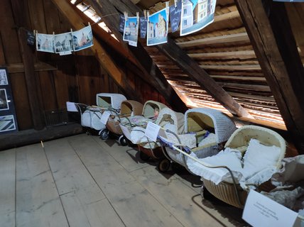 FOTKA - L�to s v�n� pern��k�