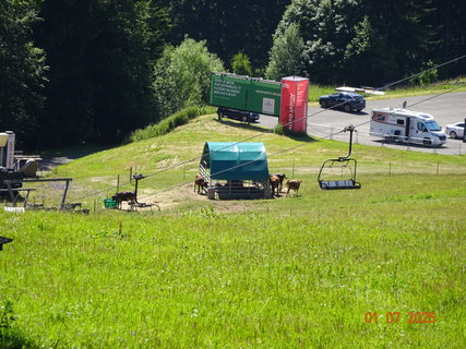 FOTKA - Od Labsk� boudy do �pindlerova Ml�na