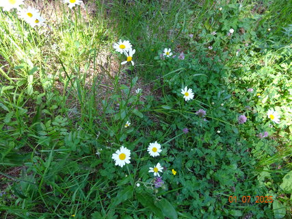 FOTKA - Od Labsk� boudy do �pindlerova Ml�na