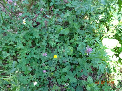 FOTKA - Od Labsk� boudy do �pindlerova Ml�na