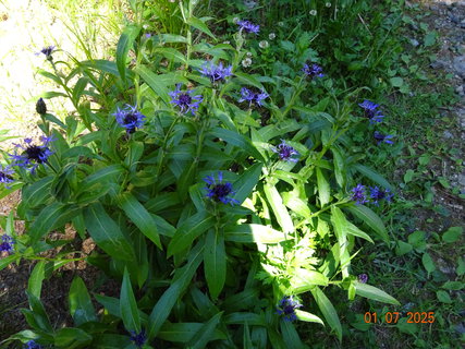 FOTKA - Od Labsk� boudy do �pindlerova Ml�na